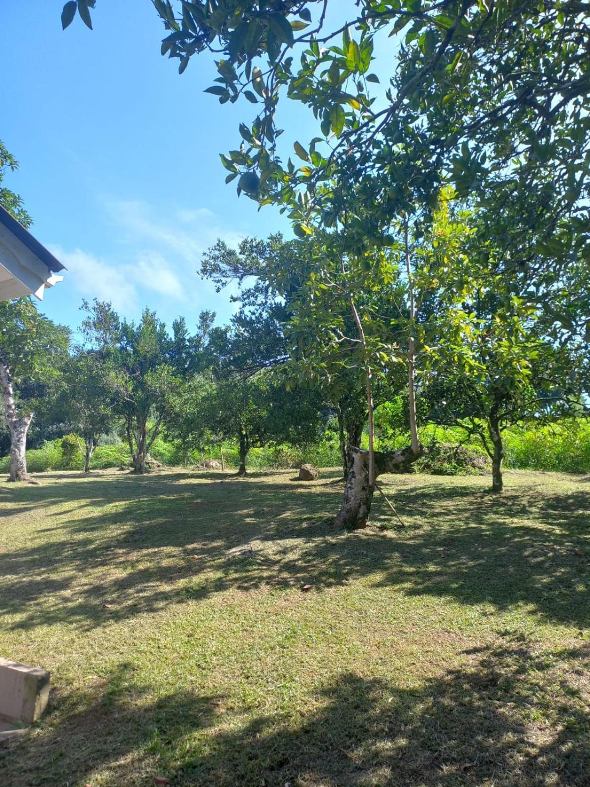 Casa Ampla E Aconchegante Em Gramado Βίλα Εξωτερικό φωτογραφία